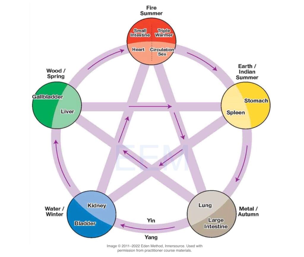 Five Elements diagram showing seasonal and organ relationships in Traditional Chinese Medicine.