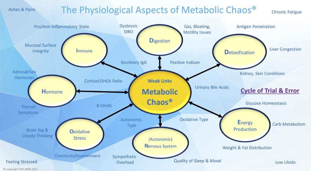 Diagram showing the interconnected systems affected by Metabolic Chaos®, including hormones, immunity, digestion, detoxification, energy production, and oxidative stress.